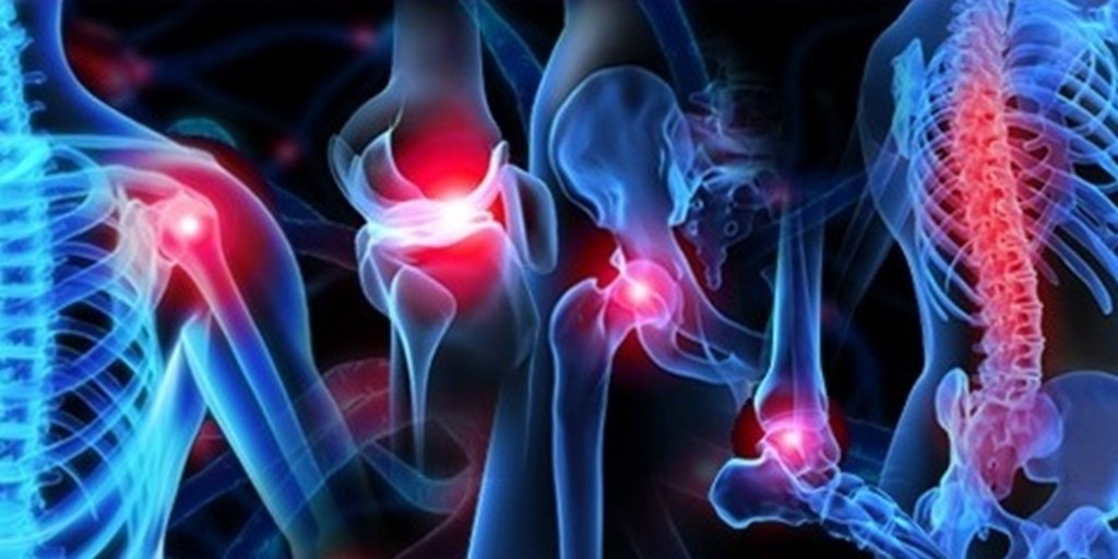Top Orthopedic Doctors in Picnic Garden 4 ortho