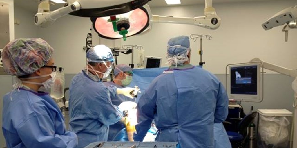 Watch a total knee replacement online